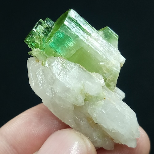 パキスタン、ステクナラ ギルギット バルティスタン産エルバイト