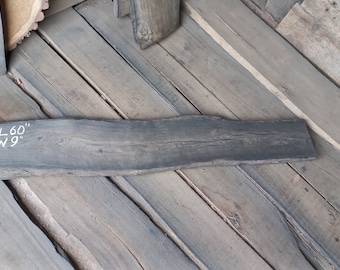 60 Inch Live Edge Bog Oak Slab: Curved Black Oak Plank