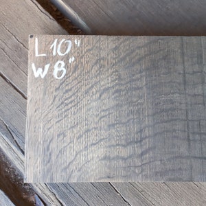Curved Live Edge Bog Oak Board: Woodworking Plank (10&#39;&#39; x 8&#39;&#39;)