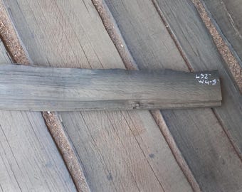 Bog Oak Plank: Curved Wood Shelf (36'' x 4'' x 1.6'')