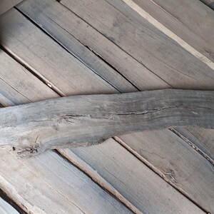 Op de afbeelding: Een lang, donkerbruin stuk hout met een natuurlijke, ruwe textuur. Het hout is gebogen en heeft een knoop aan het ene uiteinde. Het hout is gelabeld met "L 65" W 9" in witte marker.