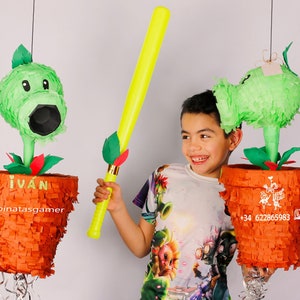Piñata Plants Vs Zombies