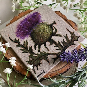 Little Scottish thistle painting. Original artwork featuring a mini Flower of Scotland. Canvas board art drawing. Wedding, housewarming gift