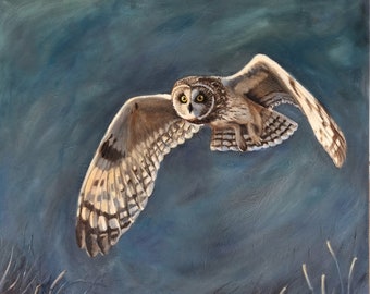 Short eared owl