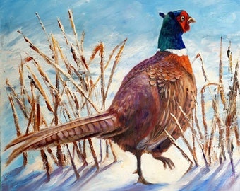 Pheasant in snow