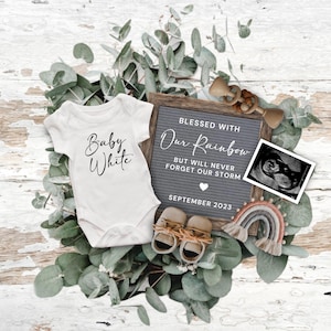 Rainbow Pregnancy Announcement Digital, Minimalist Rainbow Baby Reveal, After Every Storm Miracle Baby Announcement for Social Media