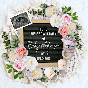 Here We Grow Again Pregnancy Announcement, Baby #2 #3 #4 Reveal, Baby Girl Pregnancy Announcement, Second Baby Reveal, Pregnancy Flat Lay