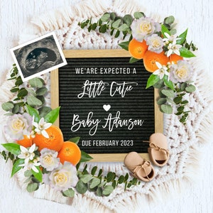 Cutie Pregnancy Announcement Digital,  We're Expecting Baby Reveal, Orange Clementine Pregnancy Reveal, Reveal Due Day, Summer Pregnancy