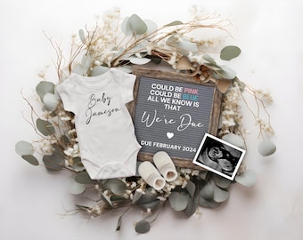 Could Be Pink Could Be Blue / Digital Pregnancy Announcement Social ...