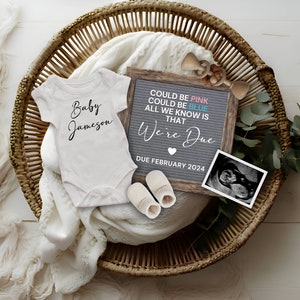 Could Be Pink Could Be Blue Baby Announcement, Digital Pregnancy Announcement for Social Media, Minimalist Pregnancy Reveal, Gender Neutral