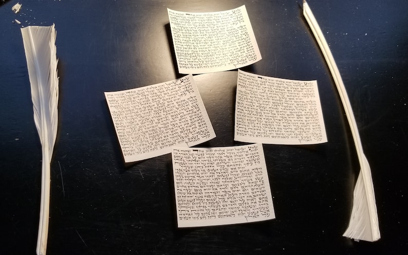 May include: Four pieces of paper with Hebrew text written on them, and two white feathers on a black surface.