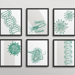 Science Class Gallery Wall - Letterpress Classroom Decor high school middle school, science art, biology class, chemistry, classroom art