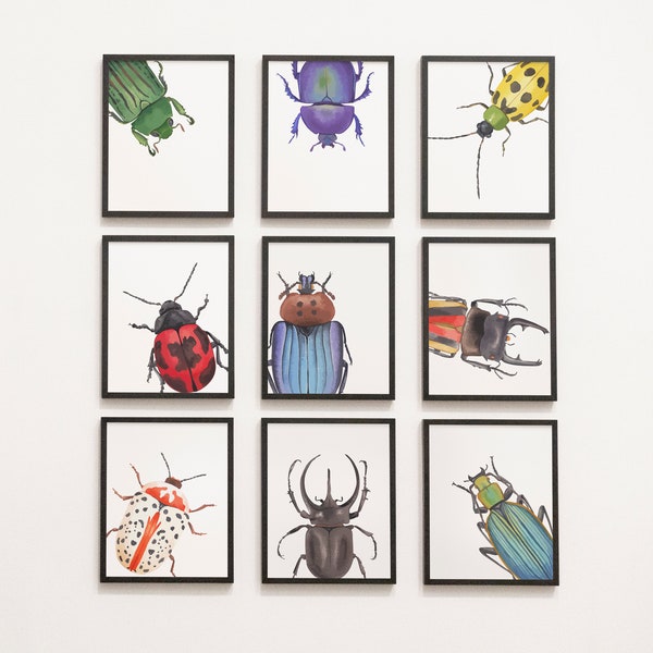 Insects Gallery Wall - elementary school, middle school, science, entomology, classroom decor, ladybug, bugs, watercolor, bug art