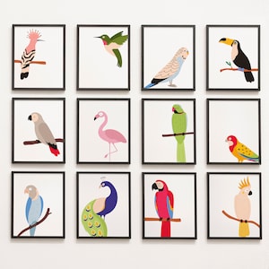 Kleurrijke Vogels Gallery Muur set van 12 - basisschool, middelbare school, wetenschap, klaslokaal decor, aquarel, volière, orinthologie