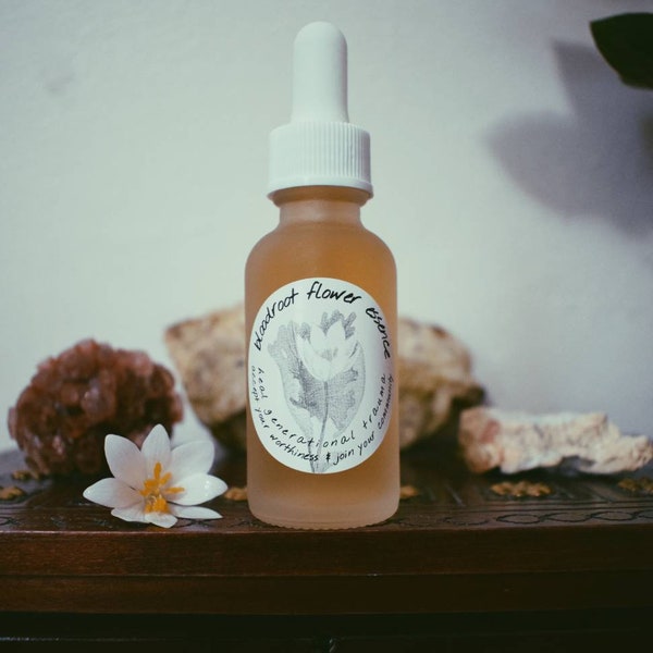 Bloodroot Flower Essence