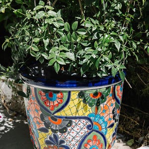 May include: A colorful, hand-painted ceramic planter with a yellow background and blue, green, red, and orange floral designs. The planter has three small feet and is filled with a green plant.