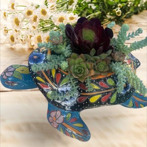 Pode incluir: Um vaso de tartaruga de cerâmica pintado à mão, preenchido com várias suculentas. A tartaruga é preta com desenhos florais e geométricos coloridos. As suculentas incluem variedades verdes, roxas e verde-azuladas. Flores brancas semelhantes a margaridas ao fundo.