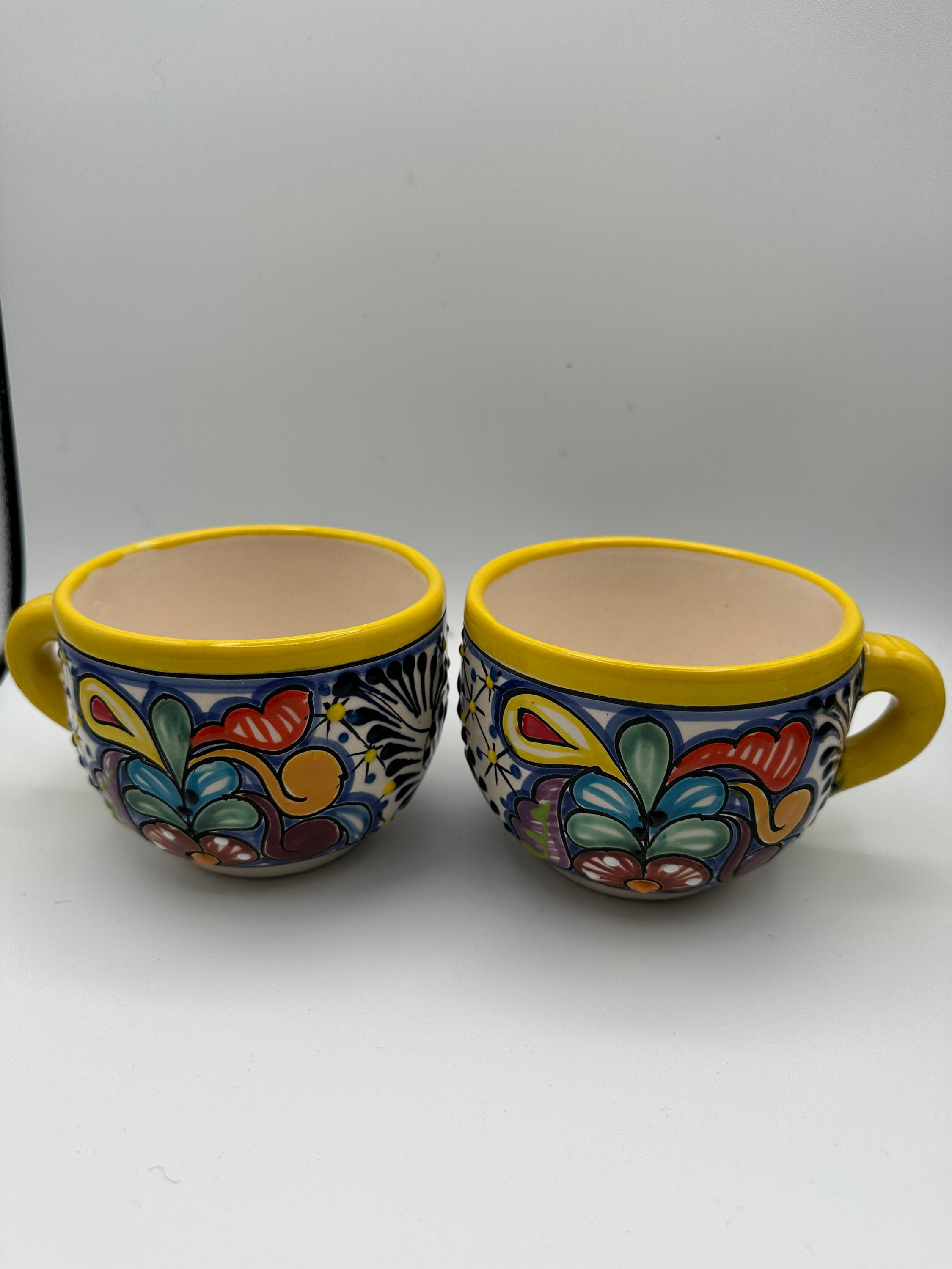 Enchanted Talavera Taza de café grande de cerámica mexicana pintada a mano,  taza de té, vasos para bebidas, taza de sopa, taza de chocolate caliente