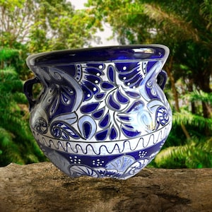 May include: Blue and white ceramic pot with a floral design. The pot has two handles and a rounded shape.