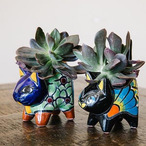 May include: Two colorful ceramic animal planters with succulents. The planter on the left is blue, green, and yellow and shaped like a cat. The planter on the right is black, blue, yellow, and orange and shaped like a cat.