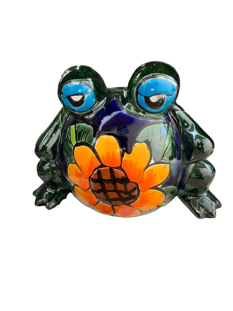 Frogs Rana Talavera small planter multicolored with flowers image 6