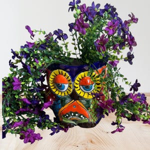 May include: A colorful owl-shaped ceramic planter with a blue base, featuring orange, yellow, and red accents. The owl's eyes are blue. The planter is filled with vibrant purple flowers and green foliage, creating a decorative display.