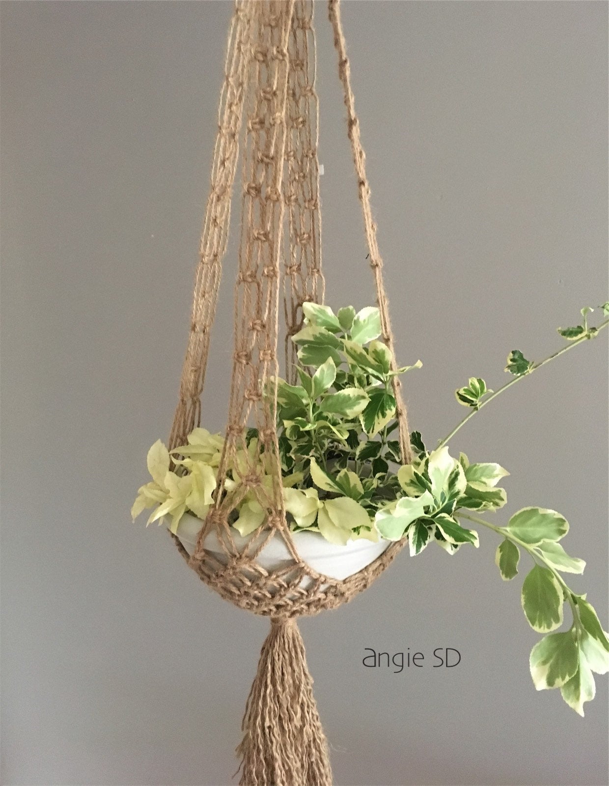 SALE Macrame Plant Hanger Kit – Mutual Adoration + POST