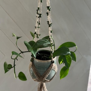 May include: A hanging plant in a pale blue ceramic pot with a macrame plant hanger. The plant has green leaves and is suspended from a ceiling. The macrame hanger is made of natural rope and has green beads.