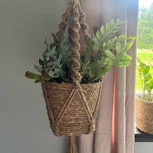 Könnte beinhalten: Ein Makramee-Pflanzenhänger aus natürlichem Jute-Seil mit einem braunen gewebten Topf. Der Hänger hält eine grüne, blättrige Pflanze.