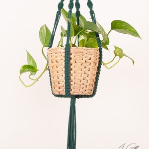 Puede incluir: Un macetero de macramé verde con una cesta tejida que contiene una planta en maceta. La planta tiene hojas verdes y está colgada del techo.