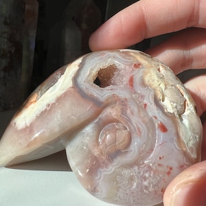 Pink agate ocean jasper snail shell carving
