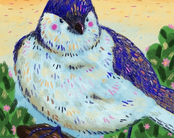 Blue Jay Sunrise