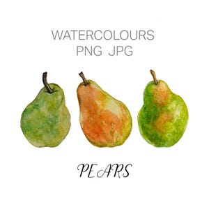Maçãs e peras em aquarela, decoração de cozinha, abóbora, conjunto de 12, PNG, FEITO À MÃO, digital, trabalho original, clipart, adereços para fotógrafo