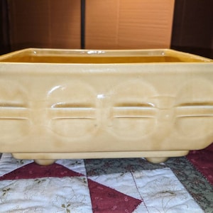 May include: A pale yellow ceramic planter with a decorative design of raised circles and lines. The planter has three small feet.