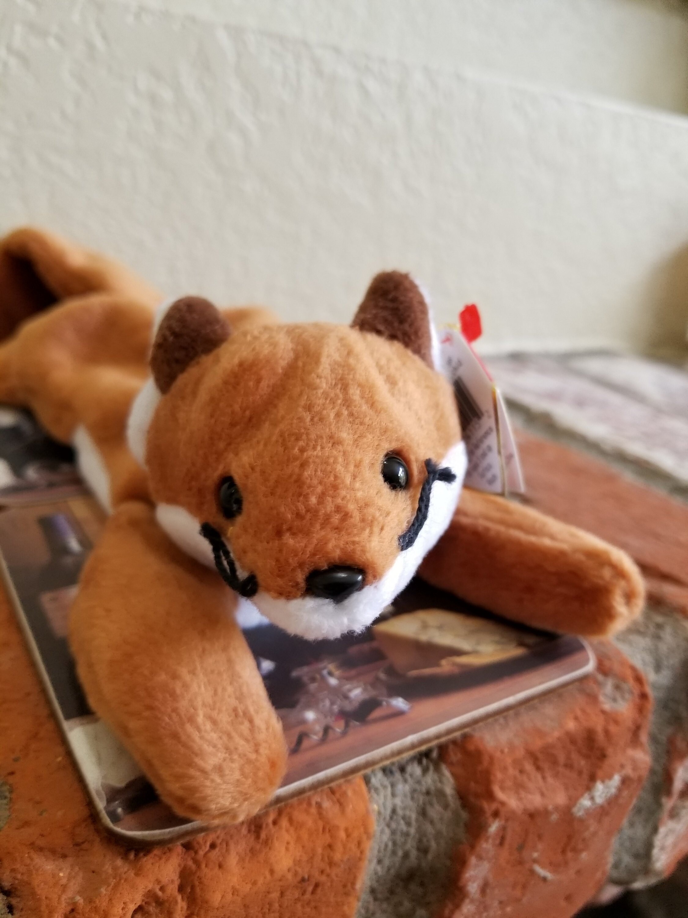 sly beanie baby