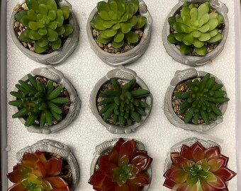 Succulents Farm Animals - 9 pieces