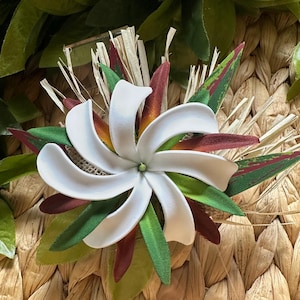Könnte beinhalten: Eine weiße, sechszackige Blüte mit grünen, roten und gelben Akzenten, umgeben von grünen Blättern und strohähnlichen Elementen. Die Blüte ist vor einem gewebten, hellbraunen Hintergrund platziert, wodurch ein tropisches oder florales Thema entsteht.