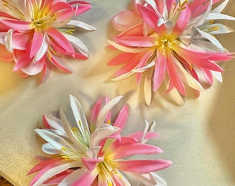 Hawaiianische Haarspange.  Einzelstück Echthaar Plumeria Haarspange Hochzeit Hula Haarteil