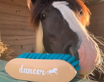 Personalized Horse Decal - Equestrian Gift, Feed Bucket, Pet Name, Horse Sticker, Vinyl Label, Equine, Barn Decal, Grooming Brush Decal