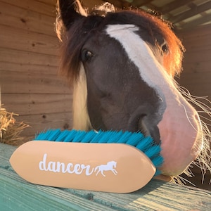 Personalized Horse Decal - Equestrian Gift, Feed Bucket, Pet Name, Horse Sticker, Vinyl Label, Equine, Barn Decal, Grooming Brush Decal