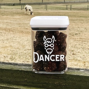 Personalized Horse Decal - Equestrian Gift, Feed Bucket Sticker, Custom Pet Name, Treat Container Label, South Horse