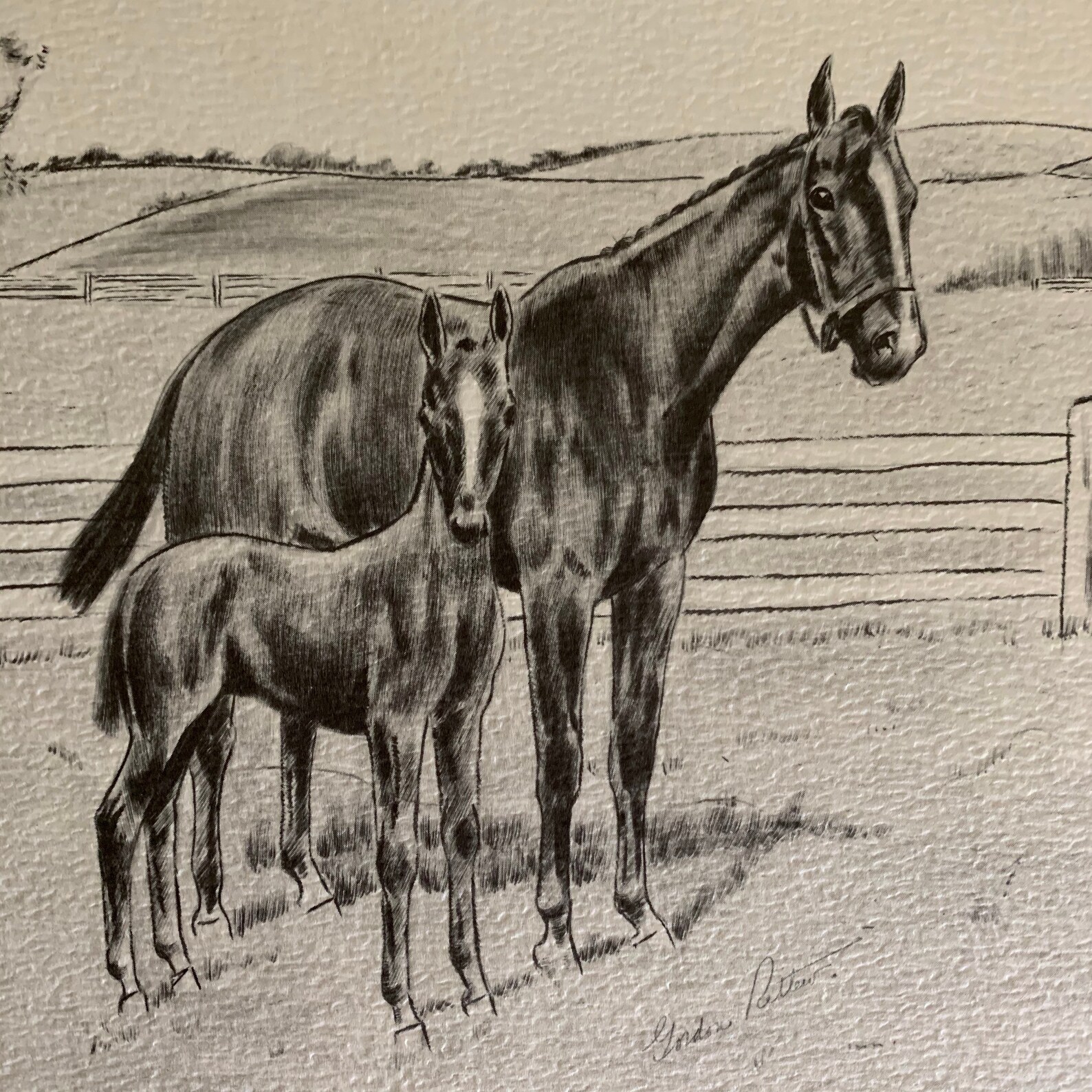Vintage Equestrian Print Gordon Rettew Mid Century Etsy