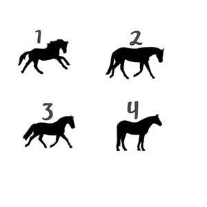 Personalized Horse Bucket Decal - Personalized Decal, Equestrian Gift, Feed Bucket, Pet Name, Horse Sticker, Vinyl Label, Equine, Barn Decal image 4