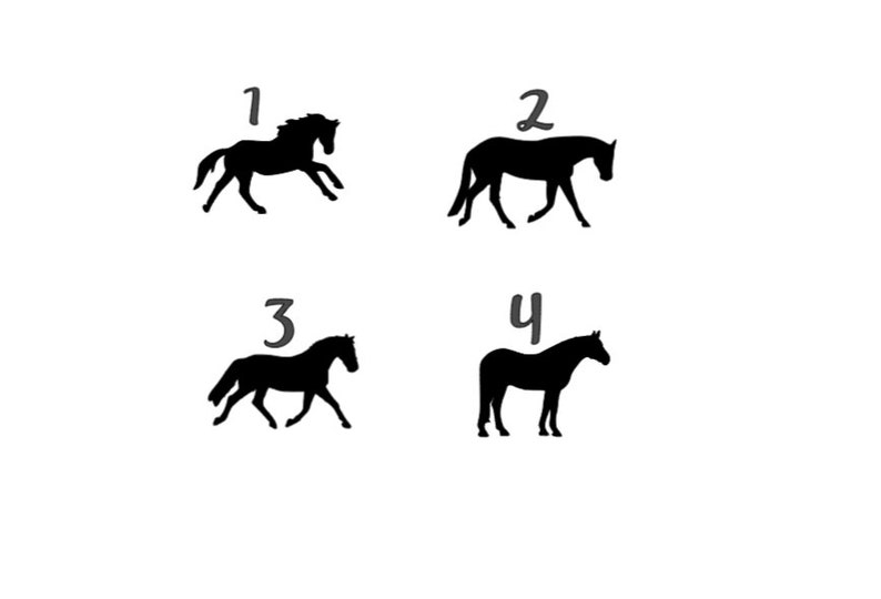 Personalized Horse Bucket Decal - Personalized Decal, Equestrian Gift, Feed Bucket, Pet Name, Horse Sticker, Vinyl Label, Equine, Barn Decal image 4