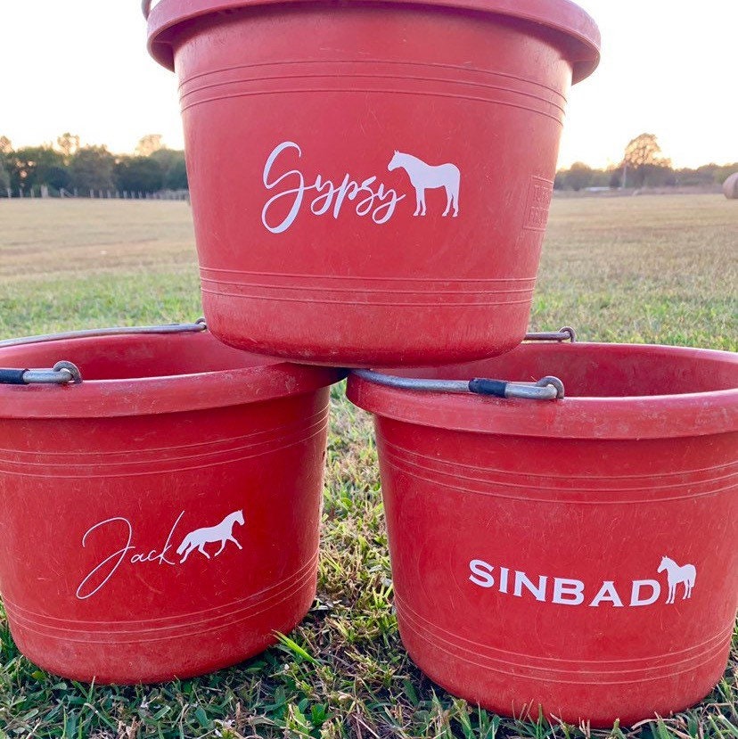 Horse Name Decal for Feed Bucket Personalized Decal Etsy