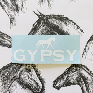 Personalized Horse Bucket Decal - Personalized Decal, Equestrian Gift, Feed Bucket, Pet Name, Horse Sticker, Vinyl Label, Equine, Barn Decal image 2