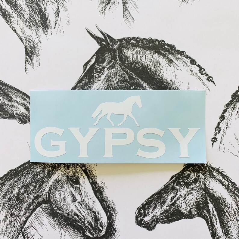 Personalized Horse Bucket Decal - Personalized Decal, Equestrian Gift, Feed Bucket, Pet Name, Horse Sticker, Vinyl Label, Equine, Barn Decal image 2
