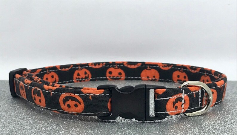 pumpkin cat collar