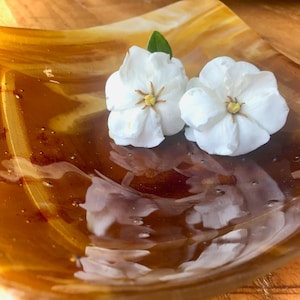 Amber and streaked color fused glass sushi style dish