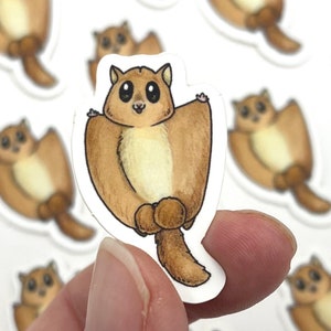 Flying Squirrel